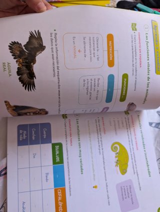 Cuaderno de aprendizaje ciencias de la Naturaleza