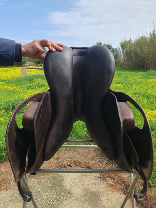 Montura Salto Tibo Equestrian