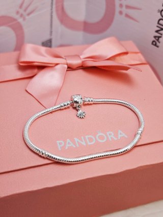 Pulsera Pandora Plata 925 ALE 19 cm