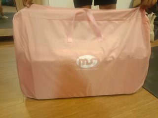 Minicuna rosa con mosquitera