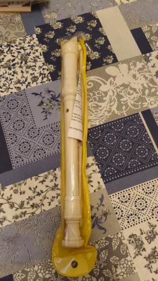 Flauta dulce de plástico