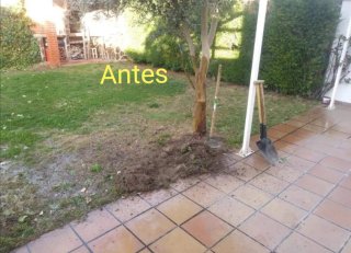 Césped artificial para jardín