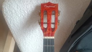 Ukelele Tanglewood Tiare TWT Tenor Electroacústico