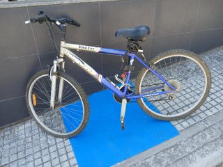 BICICLETA VECTOR LONGWAY