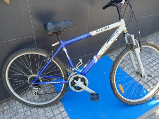 BICICLETA VECTOR LONGWAY