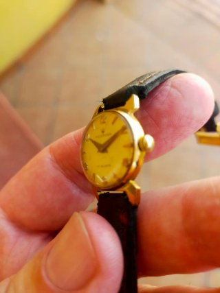 Reloj  Festina Señora - Manual 17 Rubíes