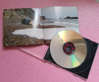 The Division Bell CD Pink Floyd