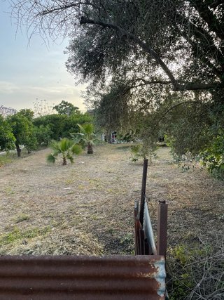 Se alquila parcela de recreo huerta de Murcia