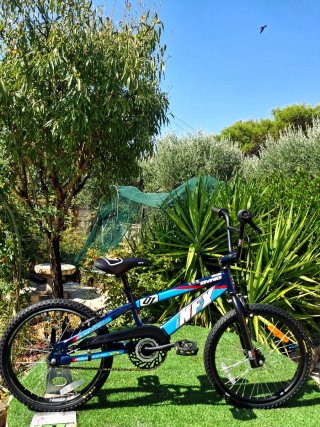 Bicicleta BMX GT Dyno