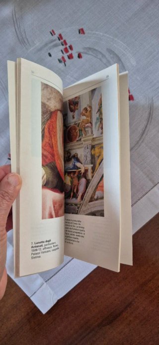 Libro MICHELANGELO – Leonardo Castellucci – OGGI