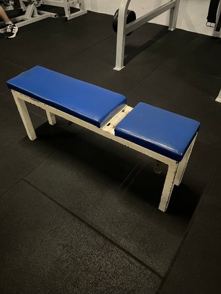 Banco de gimnasio profesional azul