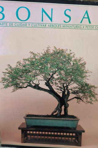 Bonsai  El arte de cuidar y cultivar árboles minia