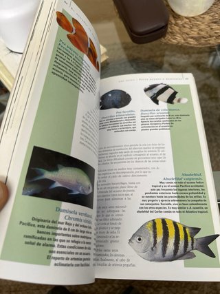 El acuario de agua salada