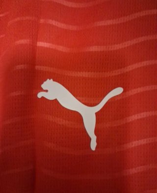 Camiseta Portugal Puma Talla M
