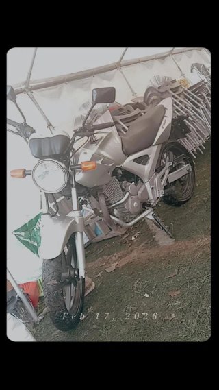 Honda CBF 250 Naked Plata