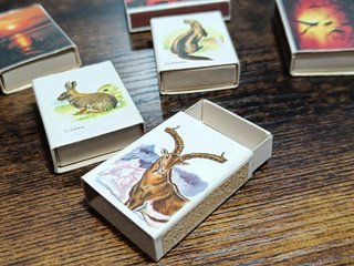Collezione di scatole di fiammiferi vuoti antichi