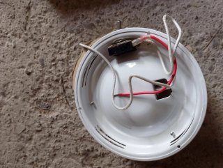 Foco LED redondo blanco 20€ cada uno