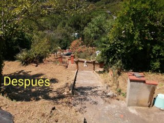 Servicio de jardinería
