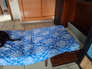 Cama auxiliar plegable 90cm