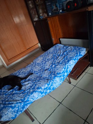 Cama auxiliar plegable 90cm