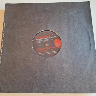Lote #2:  8 Vinilos Progressive House & Tech House