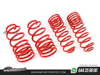 MUELLES DEPORTIVOS MTS TECHNIK MTSXVW165