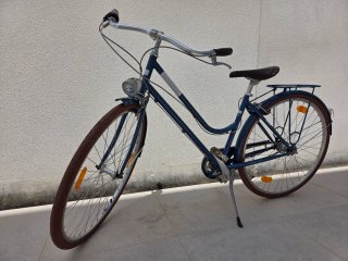 Bicicleta Paseo Ortler 3 Velocidades Señora