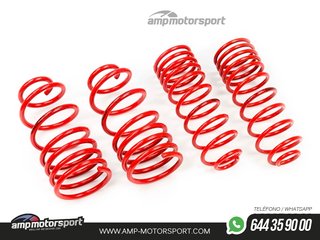 MUELLES DEPORTIVOS MTS TECHNIK MTSXVW163