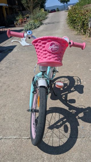 Bicicleta infantil Ashley Volare Green