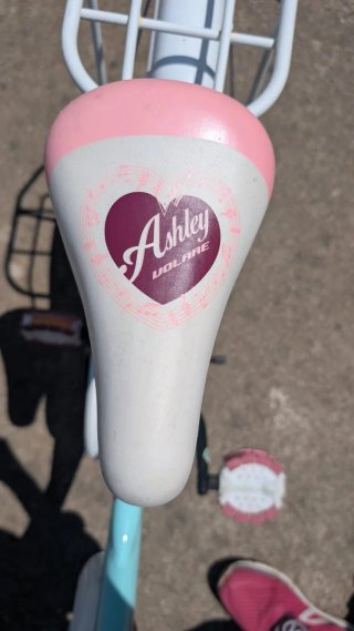 Bicicleta infantil Ashley Volare Green