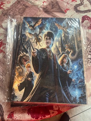 Stampa Legno Harry Potter Personaggi