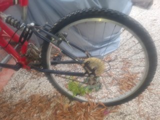 Vendo Bici Montaña Doble Suspensión-Ruedas Nuevas