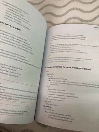 Competència lingüística Ortografía, morfología ...