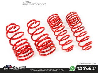 MUELLES DEPORTIVOS MTS TECHNIK MTSXPE066