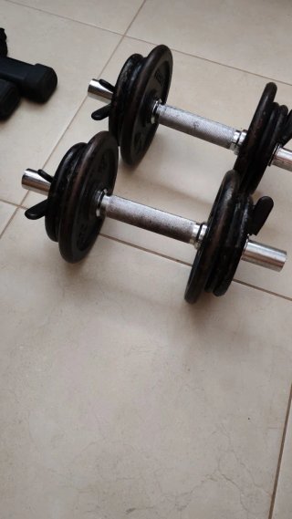 2 Pesas 10kg c/u (20kg total)