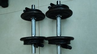 2 Pesas 10kg c/u (20kg total)