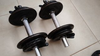 2 Pesas 10kg c/u (20kg total)