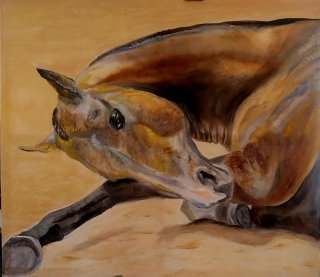 Dipinto Cavallo Pensieroso 70 x 80cm