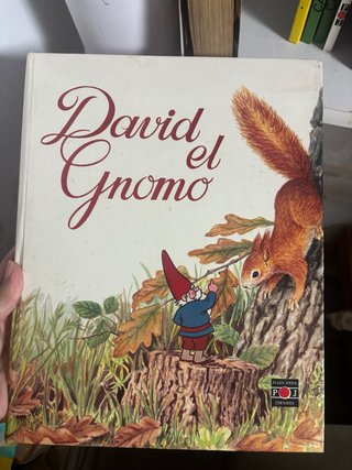 David el gnomo