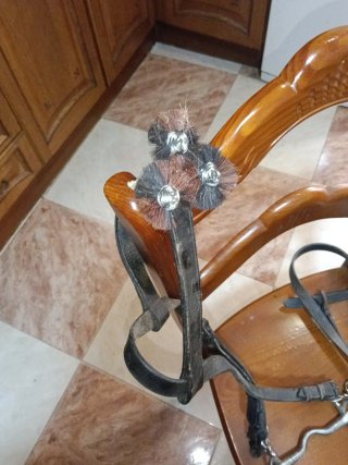 Cabezada de cuero para caballo