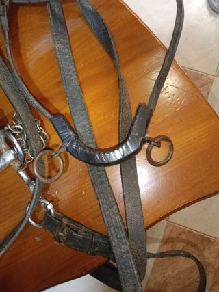 Cabezada de cuero para caballo