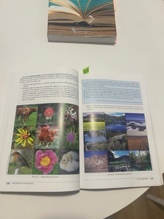 Lote de libros para acceso a la universidad UNED