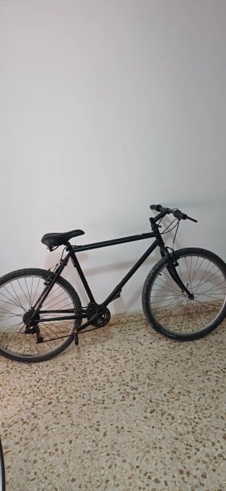 Bicicleta Negra Montaña
