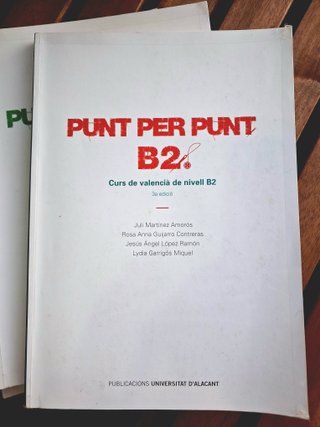 Punt per punt B2 y C1.