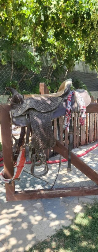 Silla de montar Western para caballos