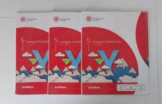 Lengua castellana, 5 Primaria