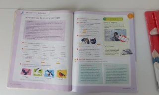 Lengua castellana, 5 Primaria
