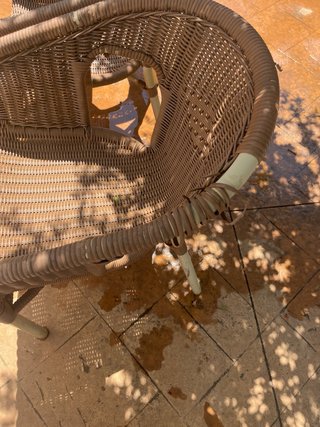 3 Sillas de Jardín Mimbre