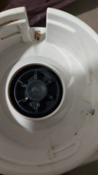 Licuadora philips essence