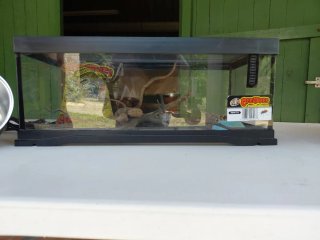 Terrario Reptiles con Lámpara Combo